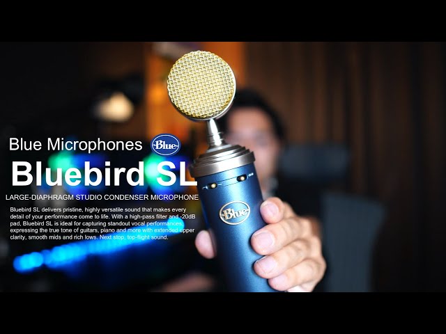 念願】Bluebird SL のコンデンサーマイク を購入しました！【比較あり