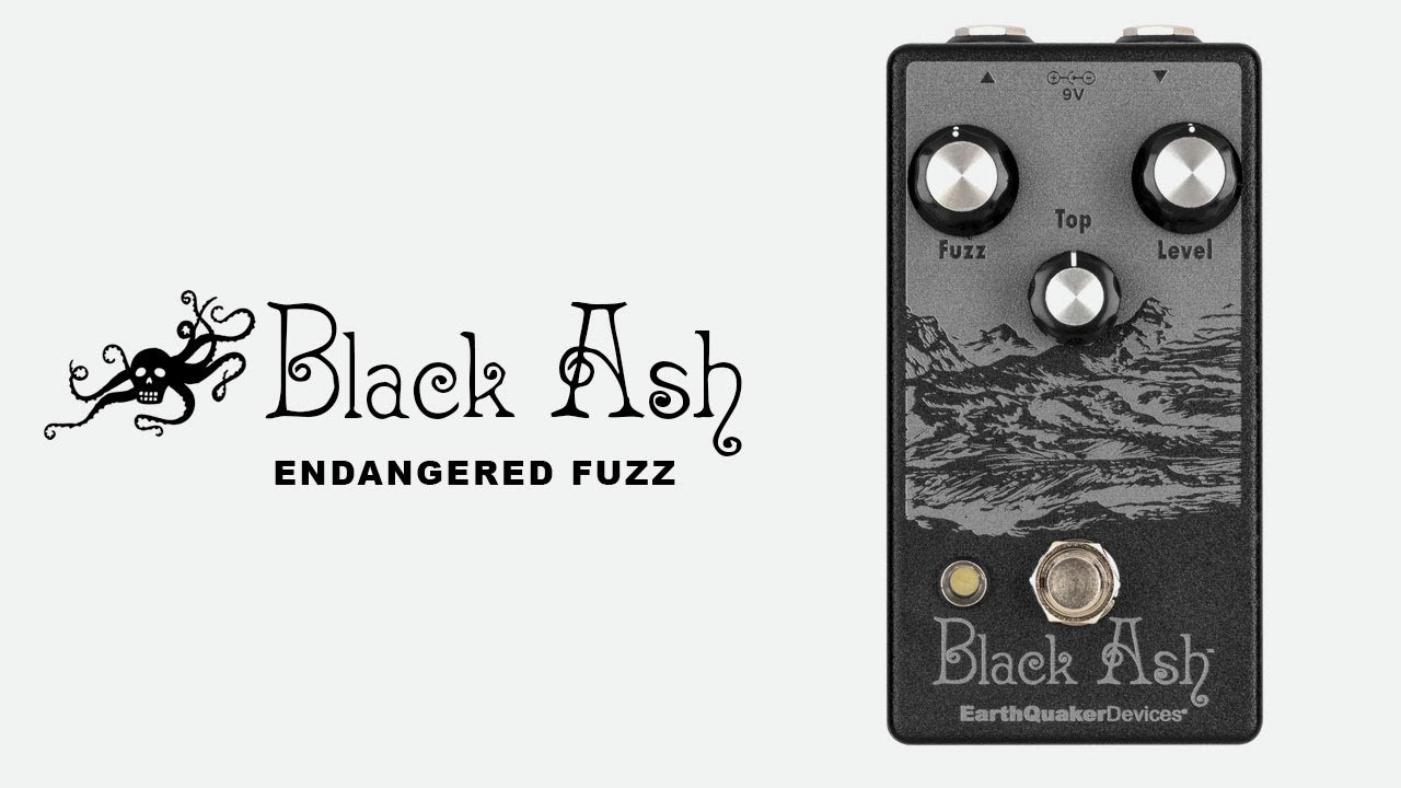 EarthQuaker Devices Black Ash - What To Know & Where To Buy