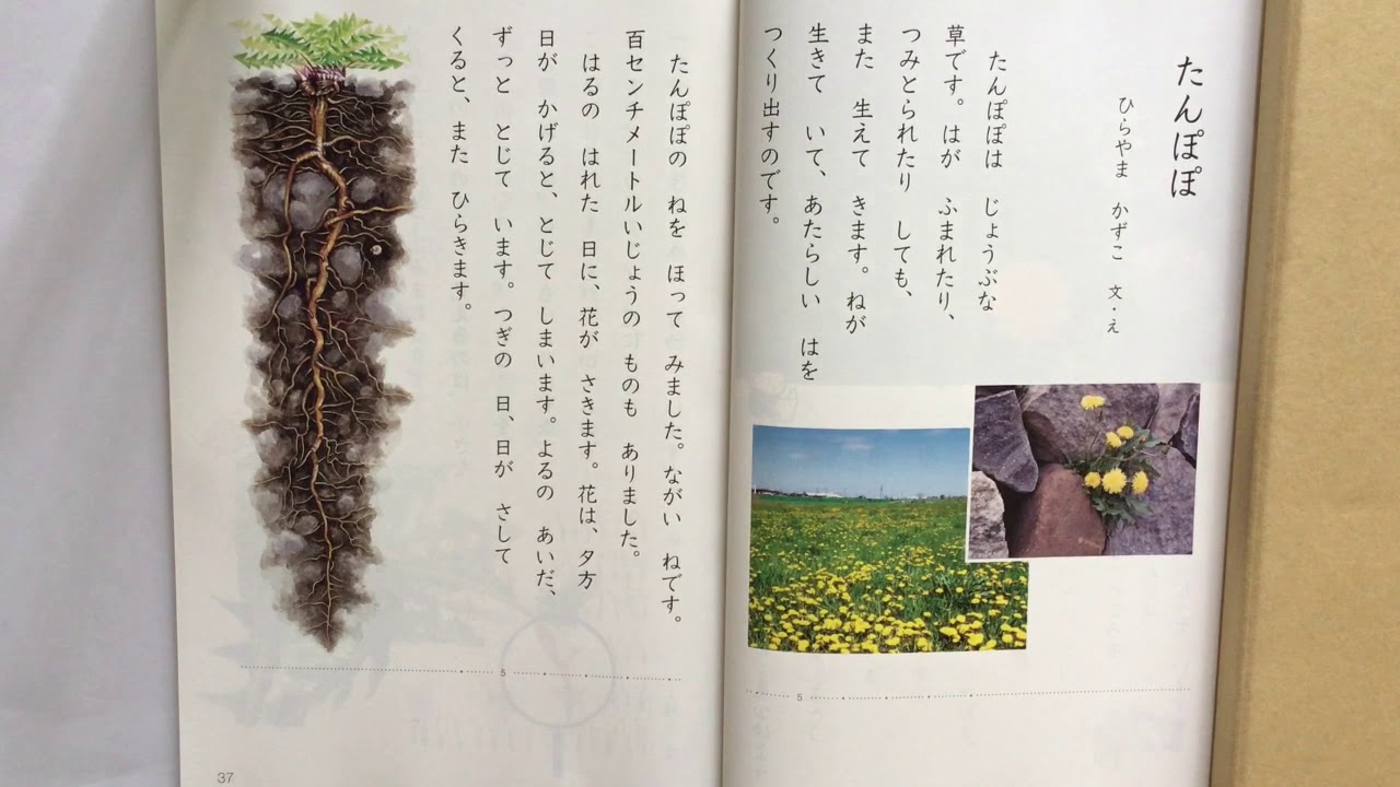 たんぽぽ ひらやまかずこ - YouTube