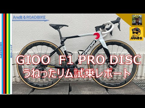 GIOO F1 PRO DISC, an emerging Chinese brand. Test drive the