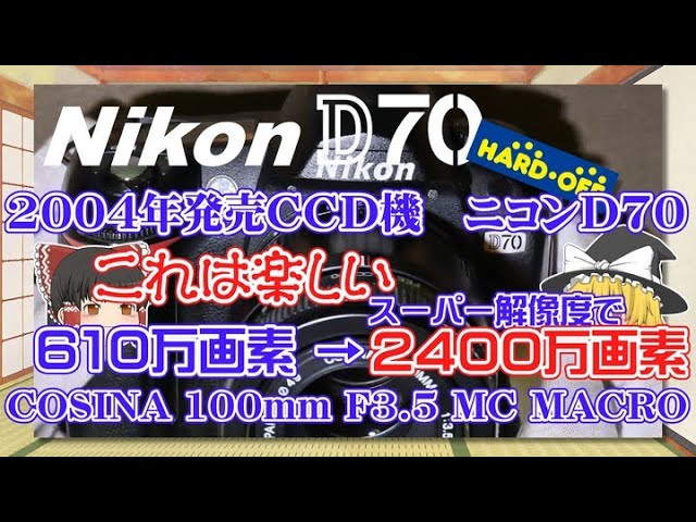 Nikon D3100 Junk Camera: 1000 Yen Special! Tested and Tested! This