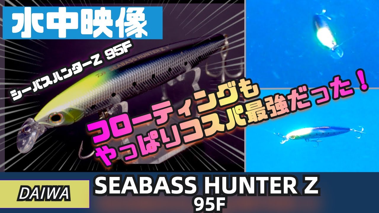 水中映像】コスパ最強シーバスミノー！！シーバスハンターZ95F！これは