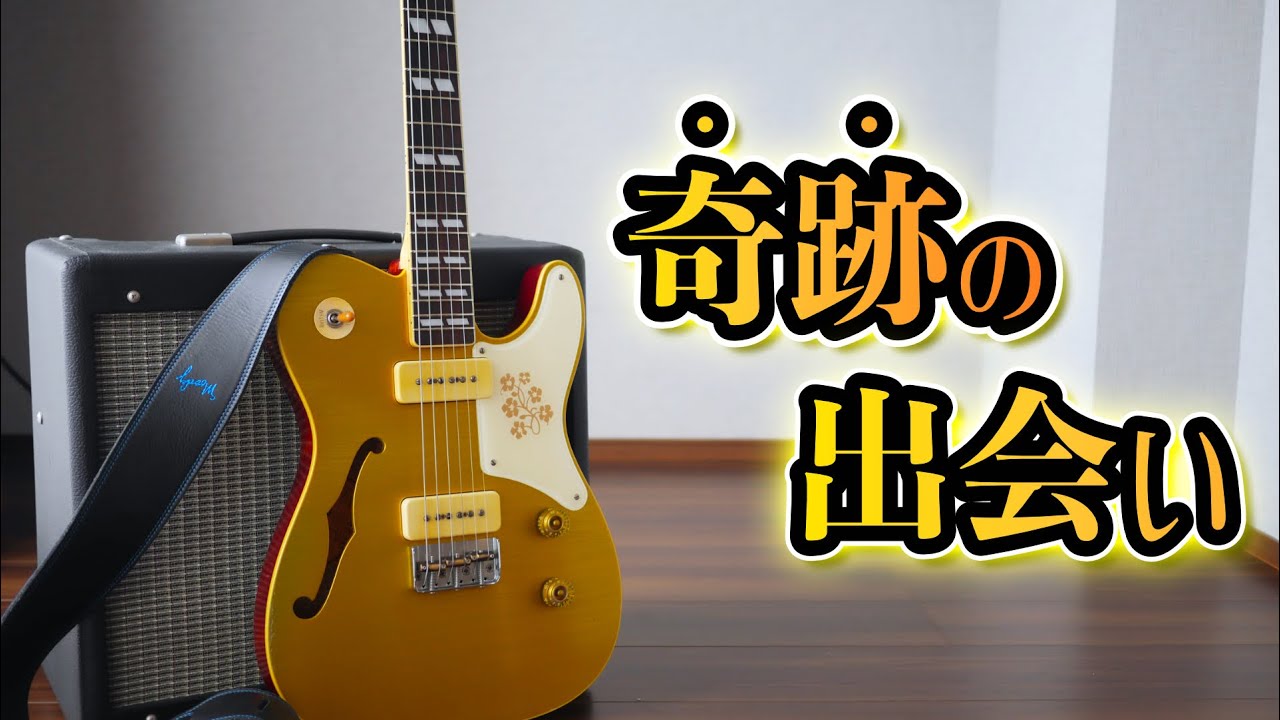 音ヤバい】新しいギターを紹介します！ Bruno Guitars TN-295 - YouTube