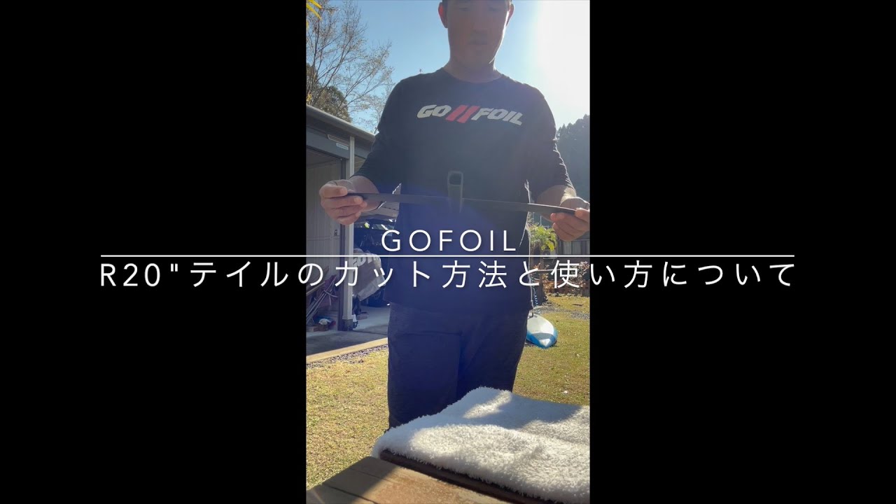 Back Wings – GOFOIL.JP