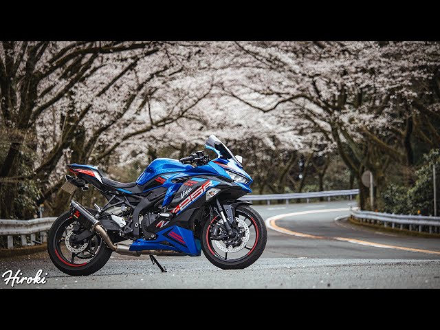 I went on a cherry blossom viewing tour to XX, where the cherry