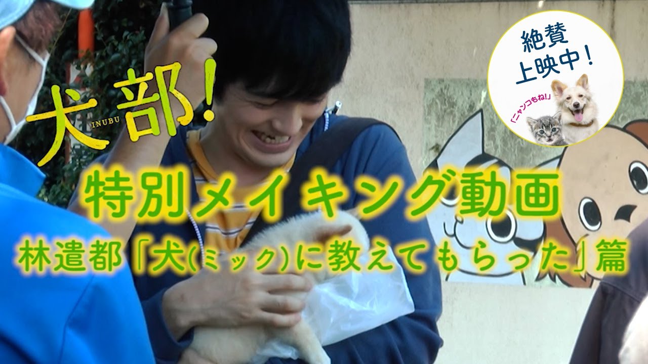 林遣都オフィシャルカレンダー 2012-2013 メイキングpart2 - YouTube