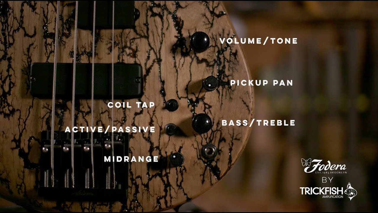 PREAMPS – Fodera Guitars