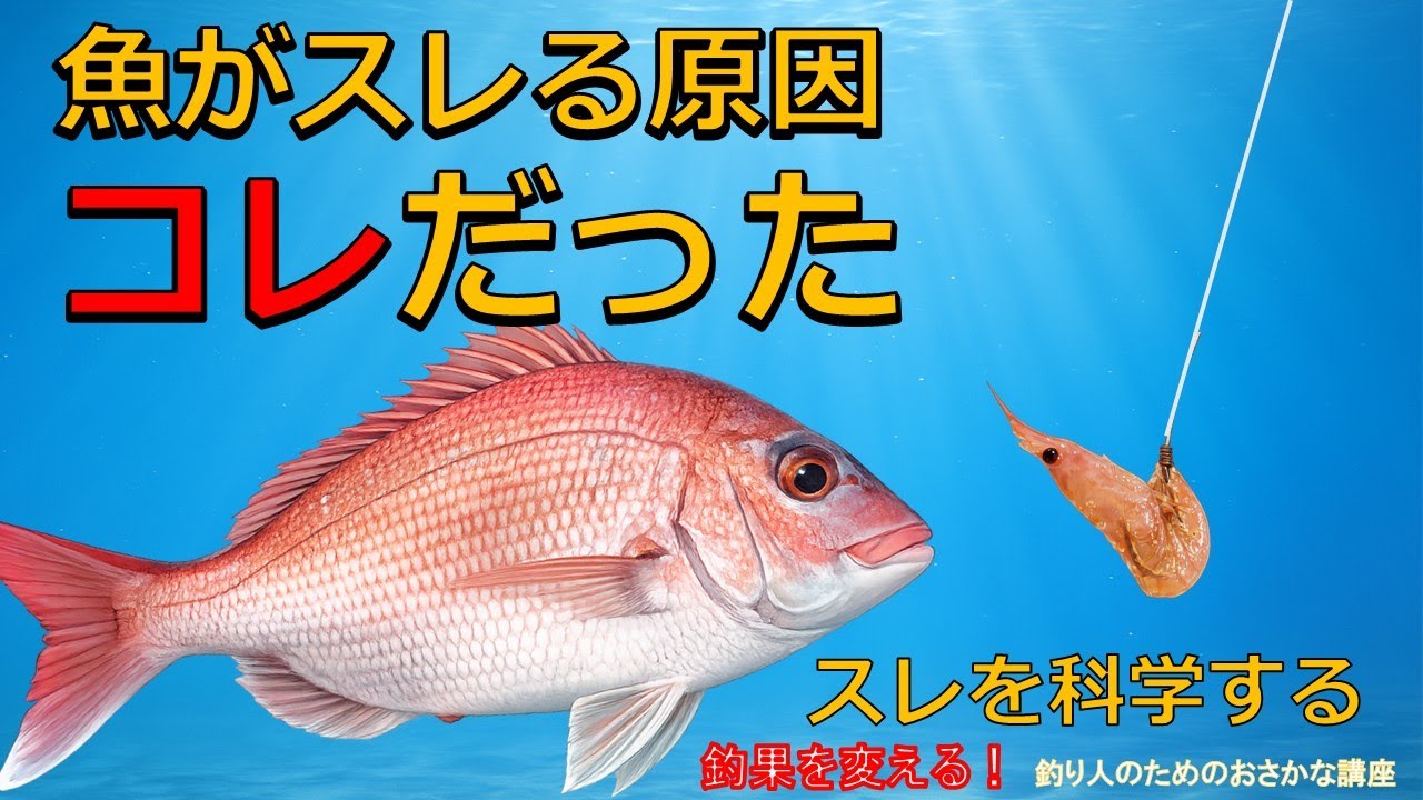 サーティフォー×ルアマガ」最強コラボ、アジングロッド発売