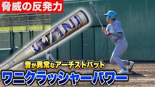 超トップバランス！史上最高の反発力…青ワニ「ワニクラッシャーパワー
