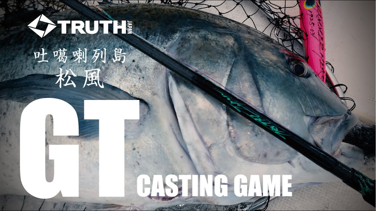 WhiteInsight 828 | TRUTH JAPAN