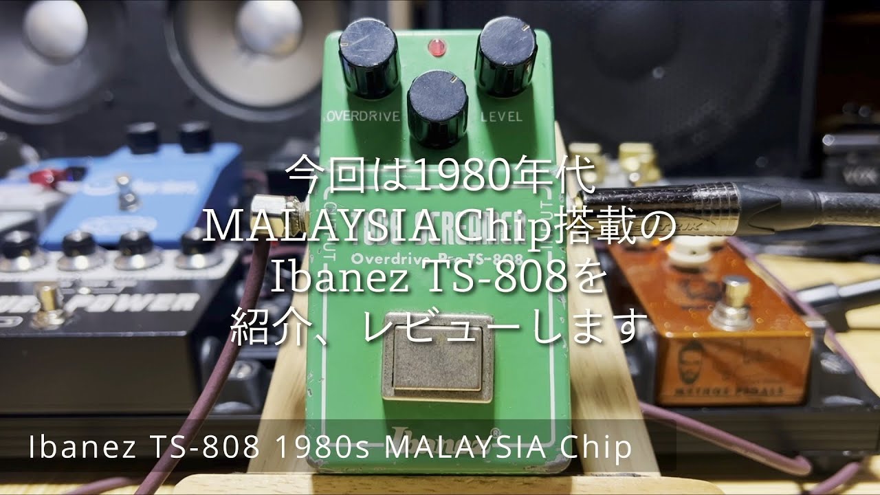 Holy Grail! Review the Ibanez TS-808 1980s MALAYSIA Chip! I