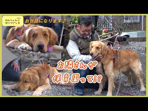 Dog and Cat Plus Kagoshima] Spending time with your favorite