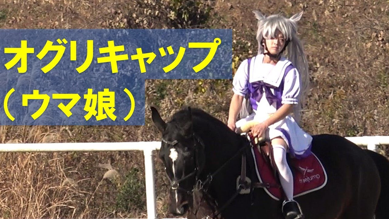 障害馬術「オグリキャップ （ウマ娘）」2023水口クリスマスホース
