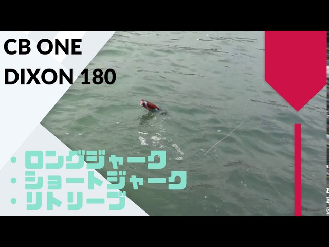 CBONE DIXON 180 Reviews,Action,Swimming. - YouTube