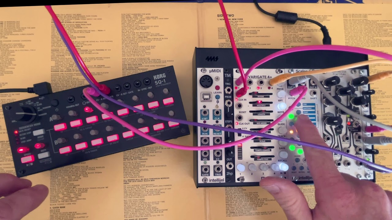 NOISE ENGINEERING BIN SEQ SEQUENCER - along with 2hp ARP and 2hp