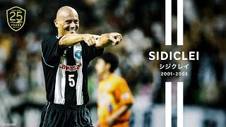 ヴィッセル神戸 25周年記念特設サイト