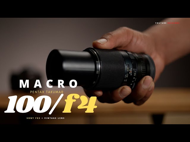 Pentax Takumar 1:4/100 - THE best Pentax MACRO lens - YouTube