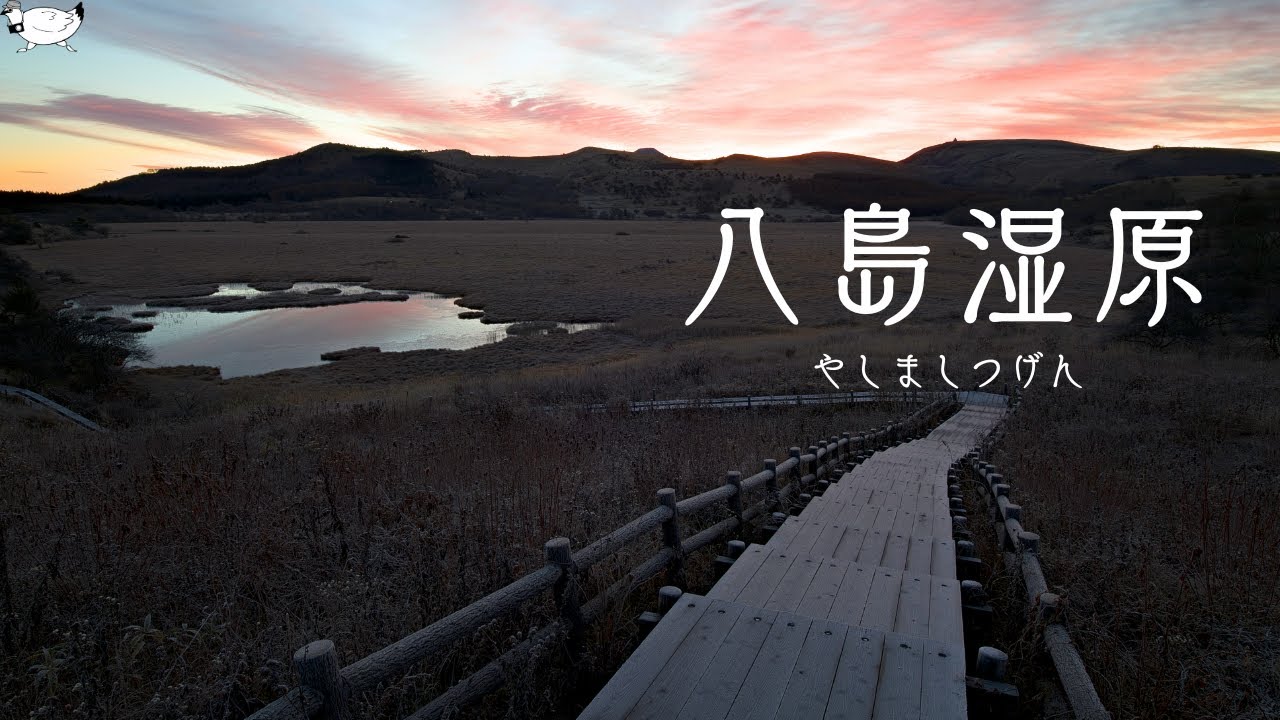 撮影】冬直前の「八島湿原」を撮る | Sigma sd Quattro H - YouTube