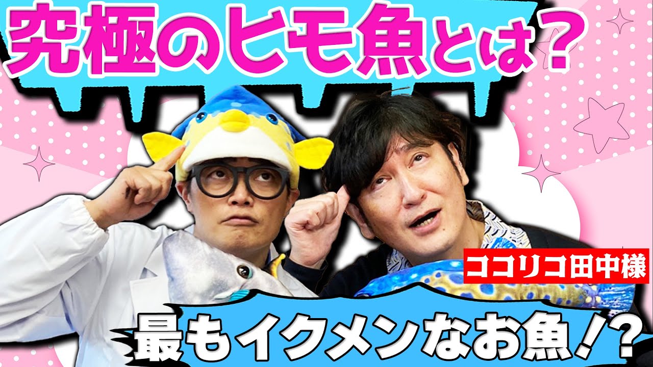 You'll want to tell someone tomorrow] Packed with trivia! If you