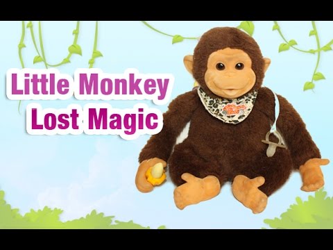 Little Monkey Lost Magic - Hosung Baby Chimpanzee - YouTube