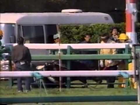 1999年 NHKマイルカップ（GⅠ） | シンボリインディ | JRA公式 - YouTube