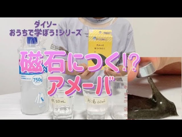 生きてるみたい！ 磁石で動くアメーバ ダイソー 自由研究 - YouTube