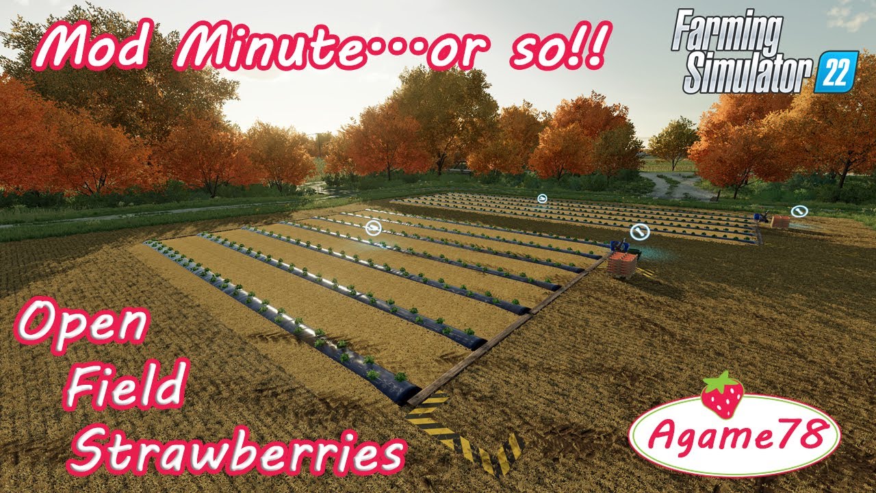 Mod MinuteOr So! | Open Field Strawberries by Agame78 | Farming