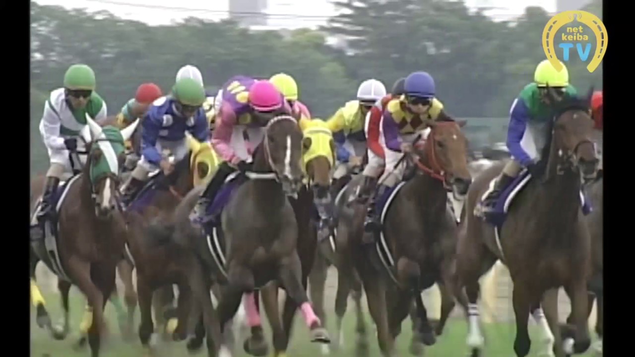 Still in Love] Love and Happiness Tokyo 2400m/2003 Oaks - YouTube