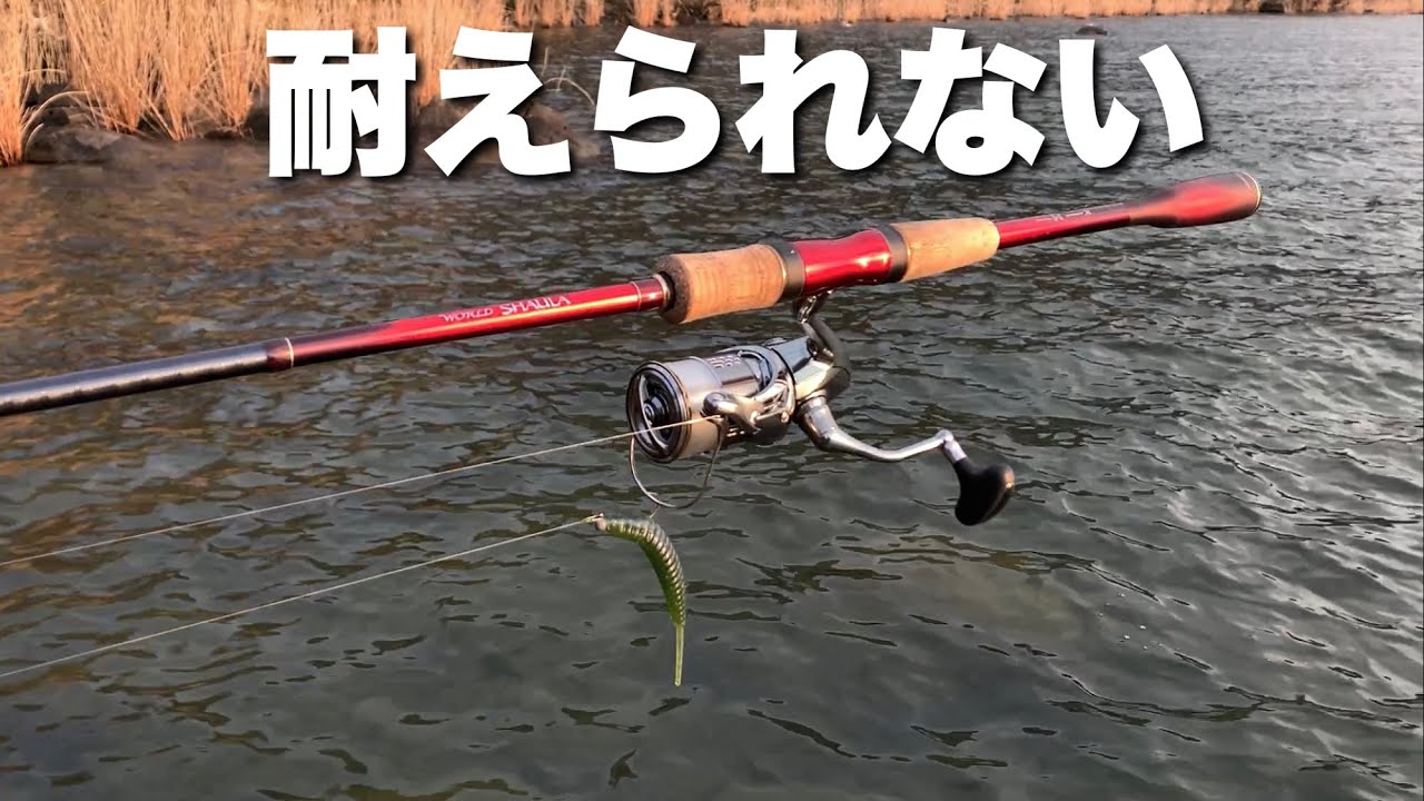 My wrist hurts when I shake the World Shaula 2752R-2 - YouTube