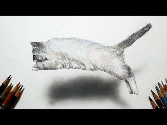 色鉛筆でネコを描いてみた リアルな絵 Realistically draw a jumping