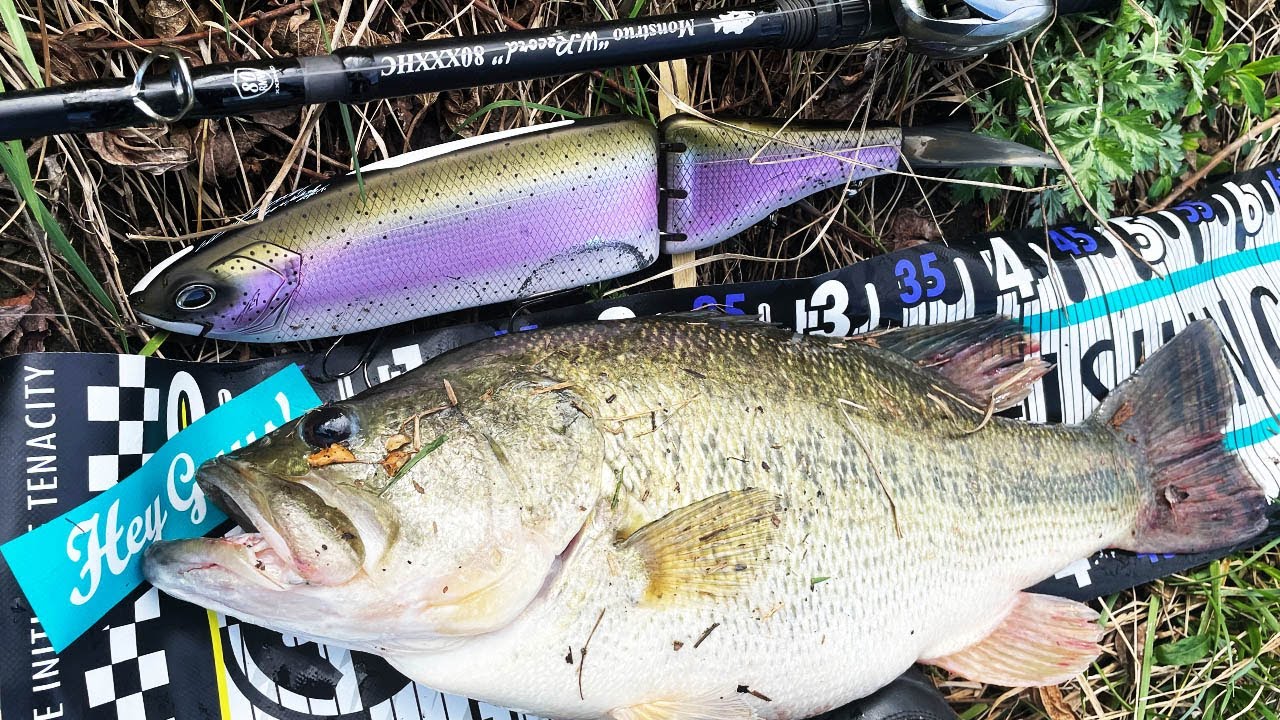 DRT klashFRENZYで釣れたので記録として残します。 Remaster Ver - YouTube