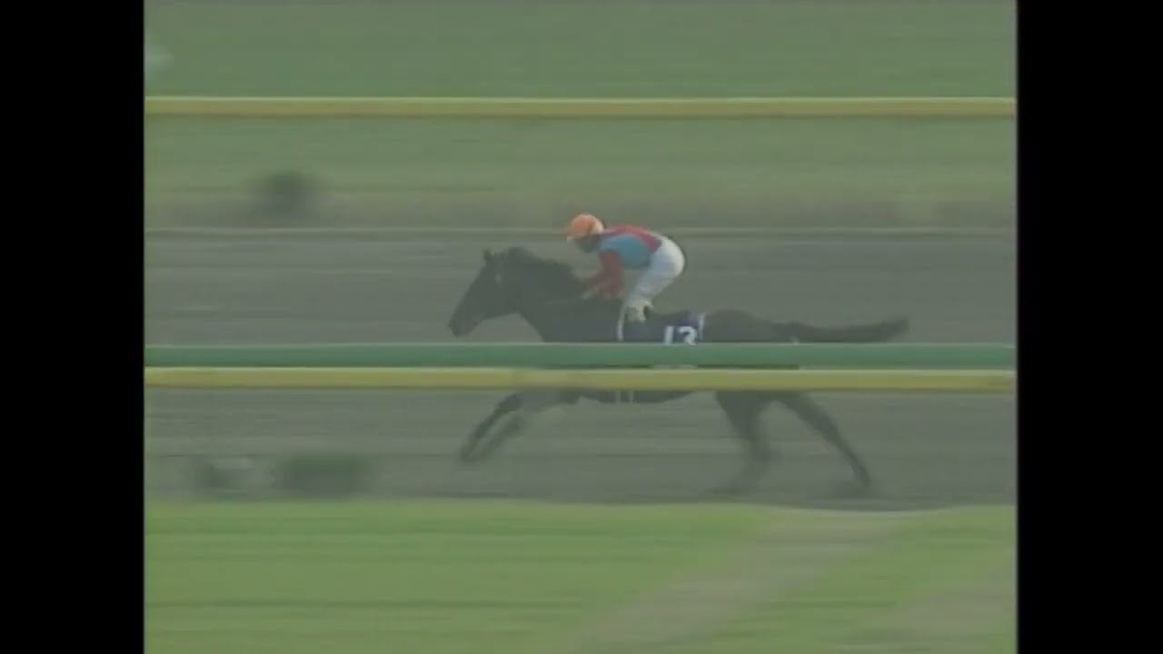2000年ジャパンカップダート ウイングアロー - YouTube
