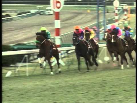 1997年 GⅡ弥生賞 勝ち馬ランニングゲイル サイレンススズカDVD - YouTube