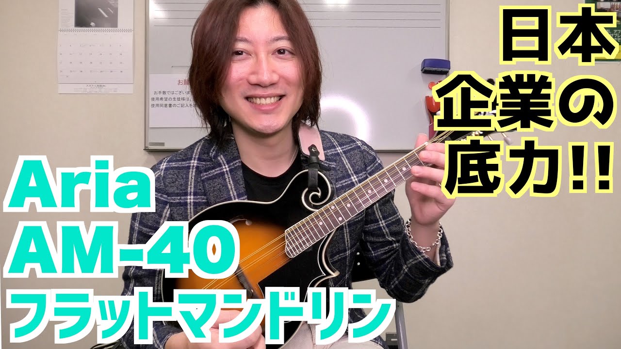 Aria/アリア AM-40 初心者向けの(F型)フラットマンドリンを買ってみた