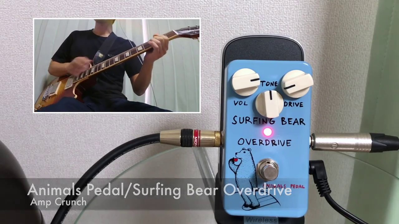 3/5(木)16:00までエフェクターポーチ付属】Animals Pedal Surfing Bear