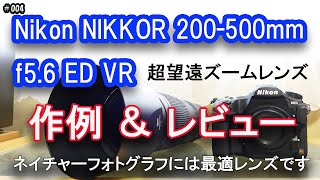 ニコン 200-500mm f5.6 超望遠ズームレンズ 】 レンズレビュー（作例