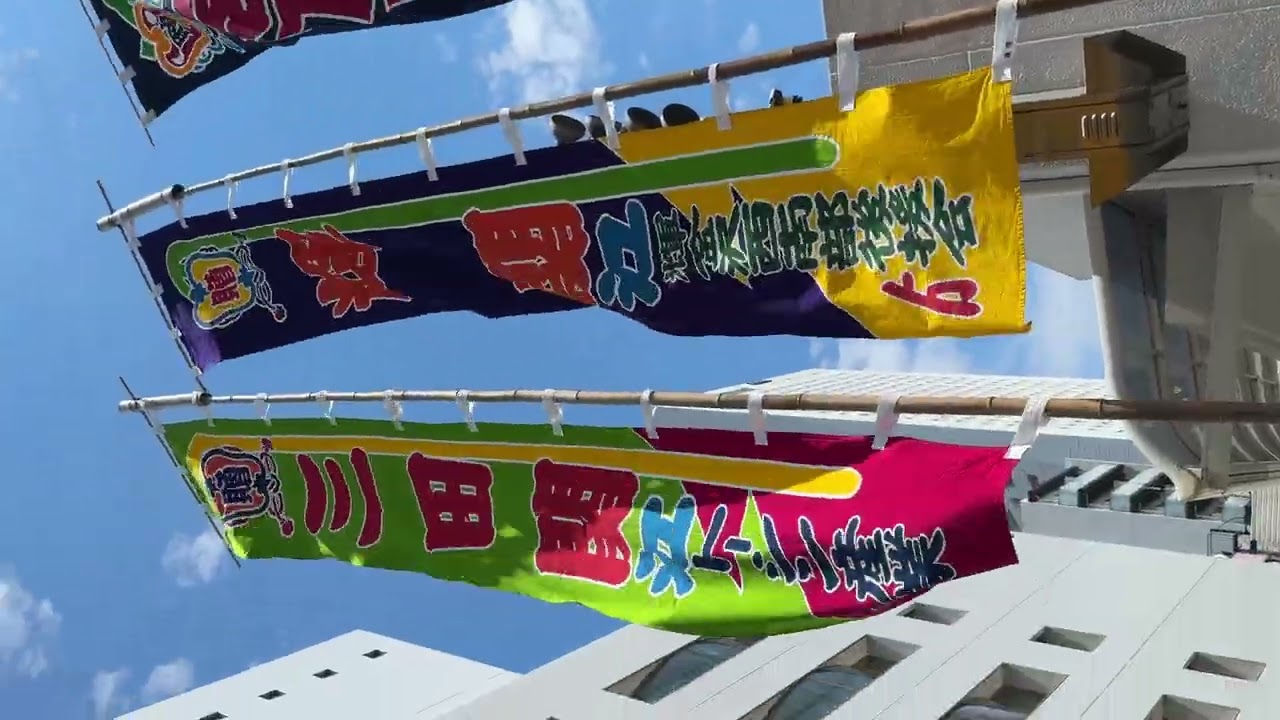 速報❗初の三田関の のぼり旗【大相撲令和7年5月場所】2025/5 MITA