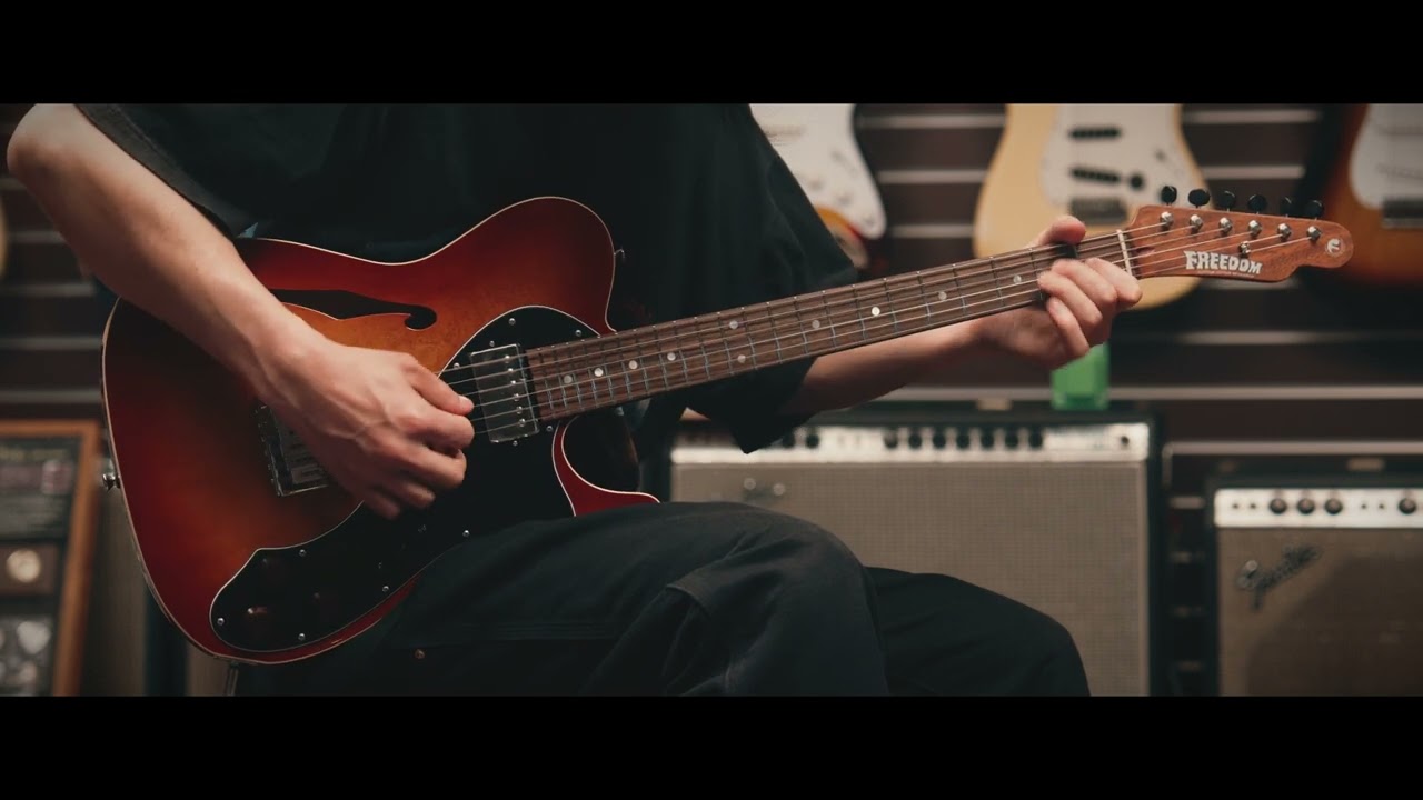 Freedom Custom Guitar Research C.S. TE Pepper Semi Hollow / SSB