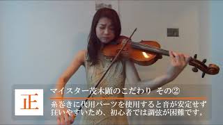 Nicolo Santi ニコロサンティ NSN60S 4/4 バイオリン 初心者セット