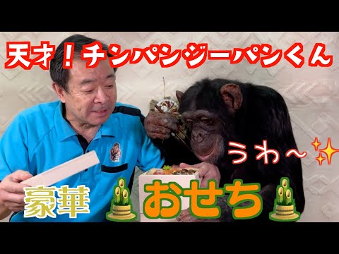 パンくん様 Genius chimpanzee Pan-kun! 24th birthday🎂 Happy 24th