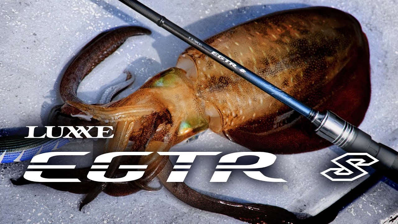 EGTR XX S511M+-Solid Fishing Review! [4K] - YouTube