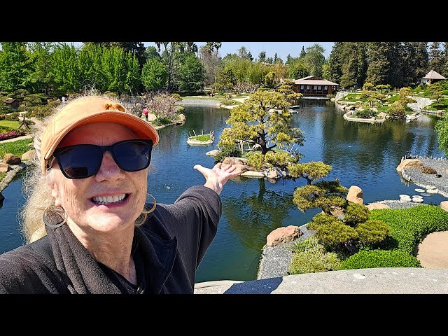 水連の庭 水連の庭 水連の庭 Zen Japanese Garden 🌼🍃