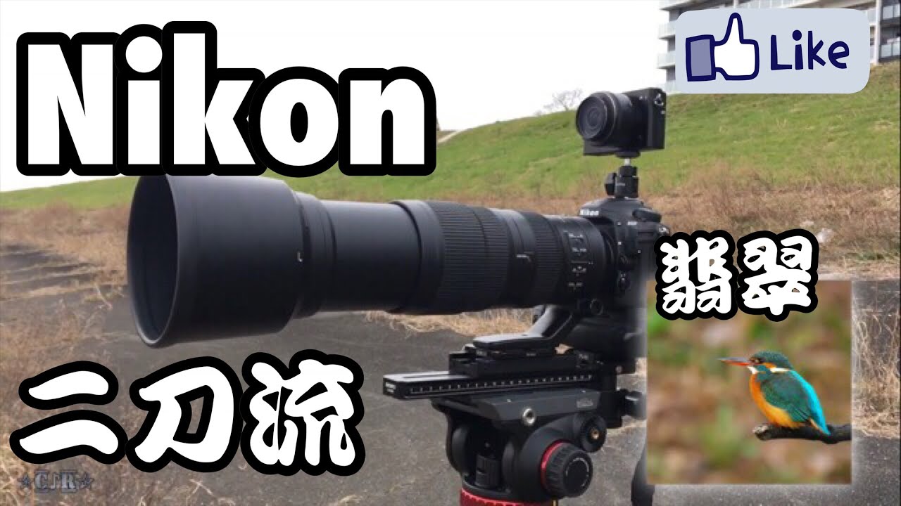 Nikon 二刀流！レビュー！カワセミ！D500×200-500＋Nikon1 J4動画