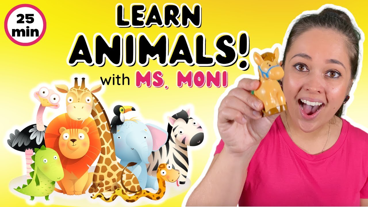 Learn Animals with Ms. Moni | Toddler Music | Teach Animal Songs