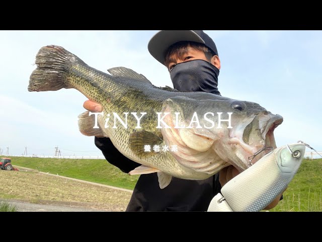 DRT】TiNY KLASH / タイニークラッシュ Low（SMOKING GHOST） - YouTube