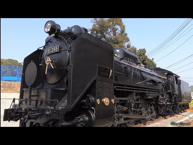 漆黒のデゴイチ復活！】D51 395号機 山口県周南市 徳山動物園前 2025.3
