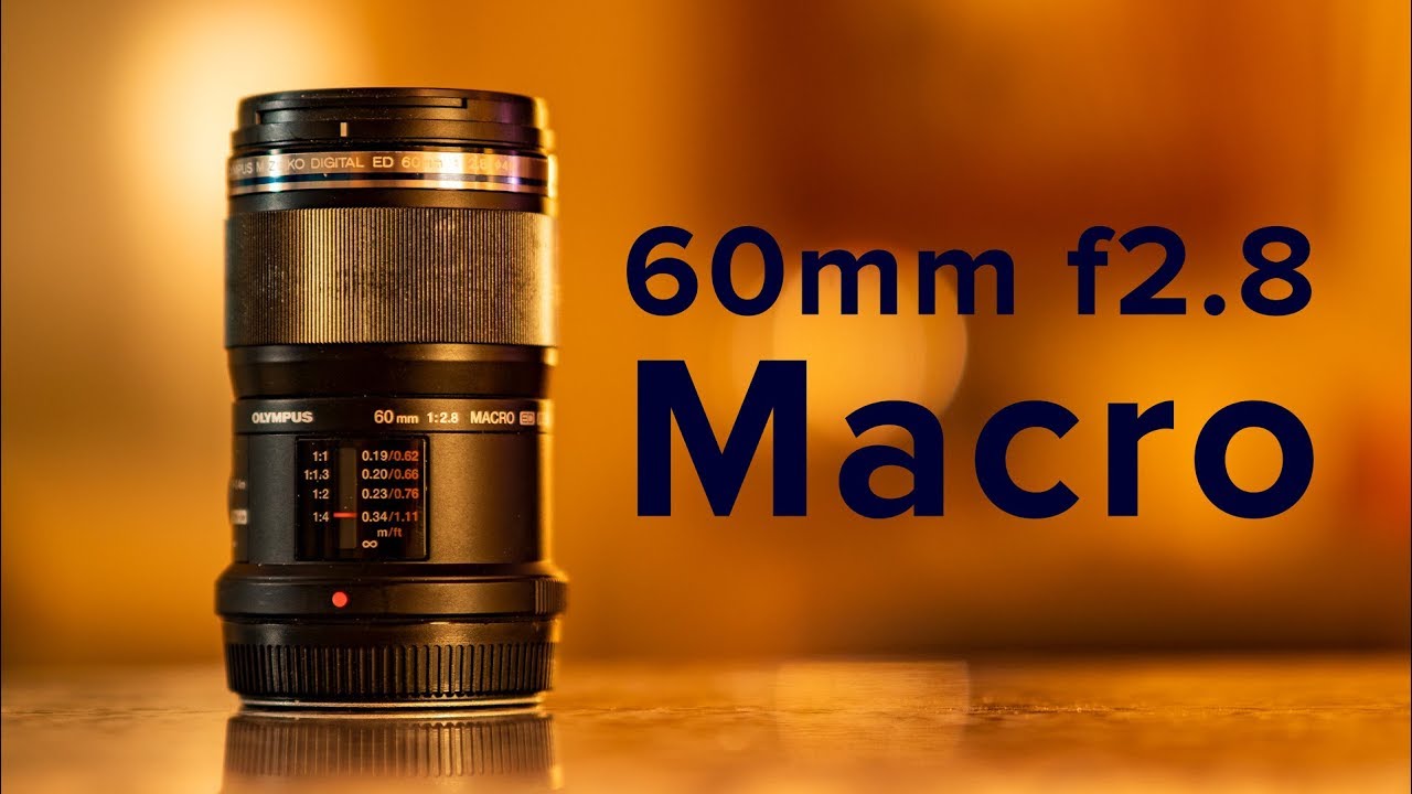 Olympus 60mm F2.8 Macro - a GREAT MFT macro lens - YouTube