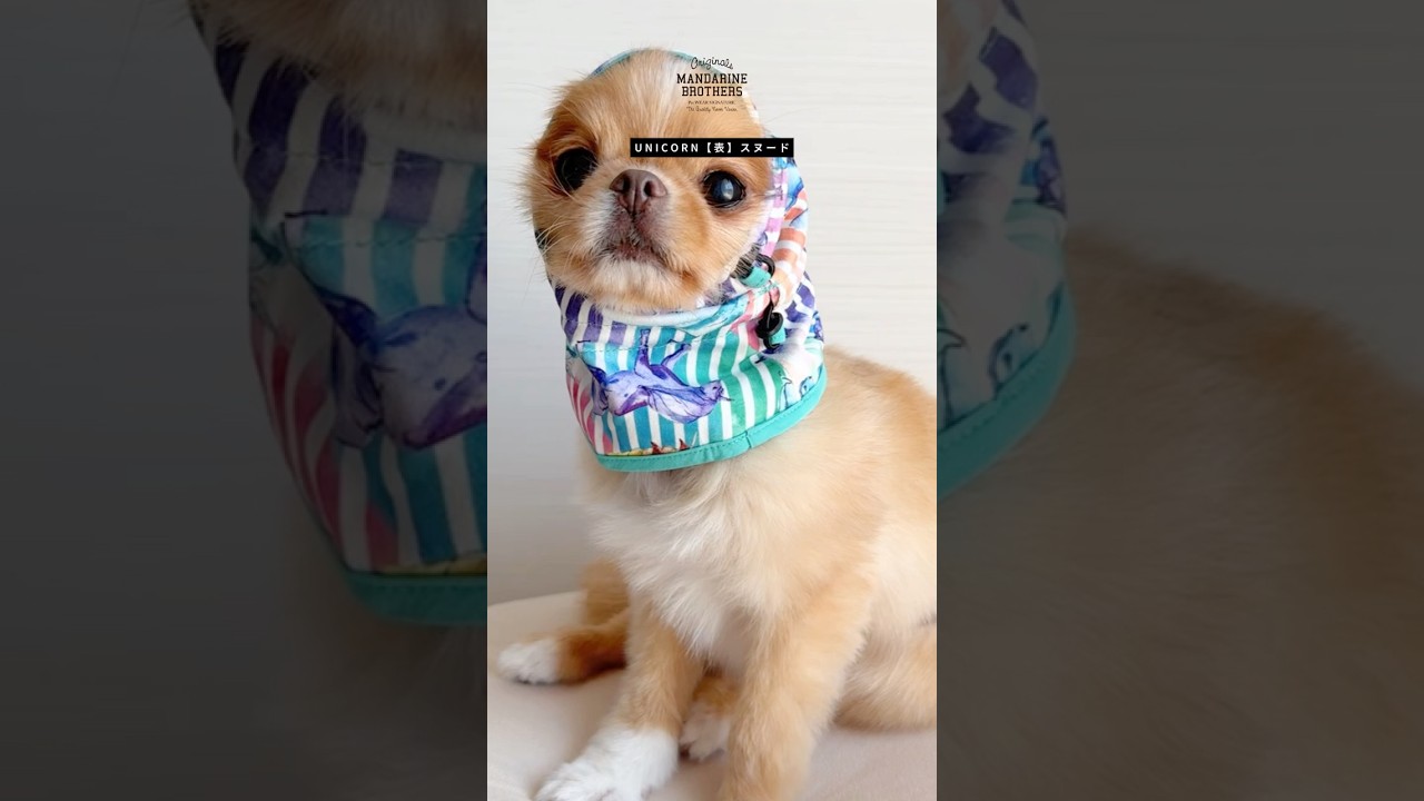 REVERSIBLE SNOOD（S）リバーシブルスヌード | MANDARINE BROTHERS