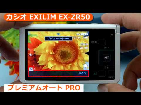 カシオ EXILIM EX-ZR50WE ホワイト | コンパクトデジタルカメラ
