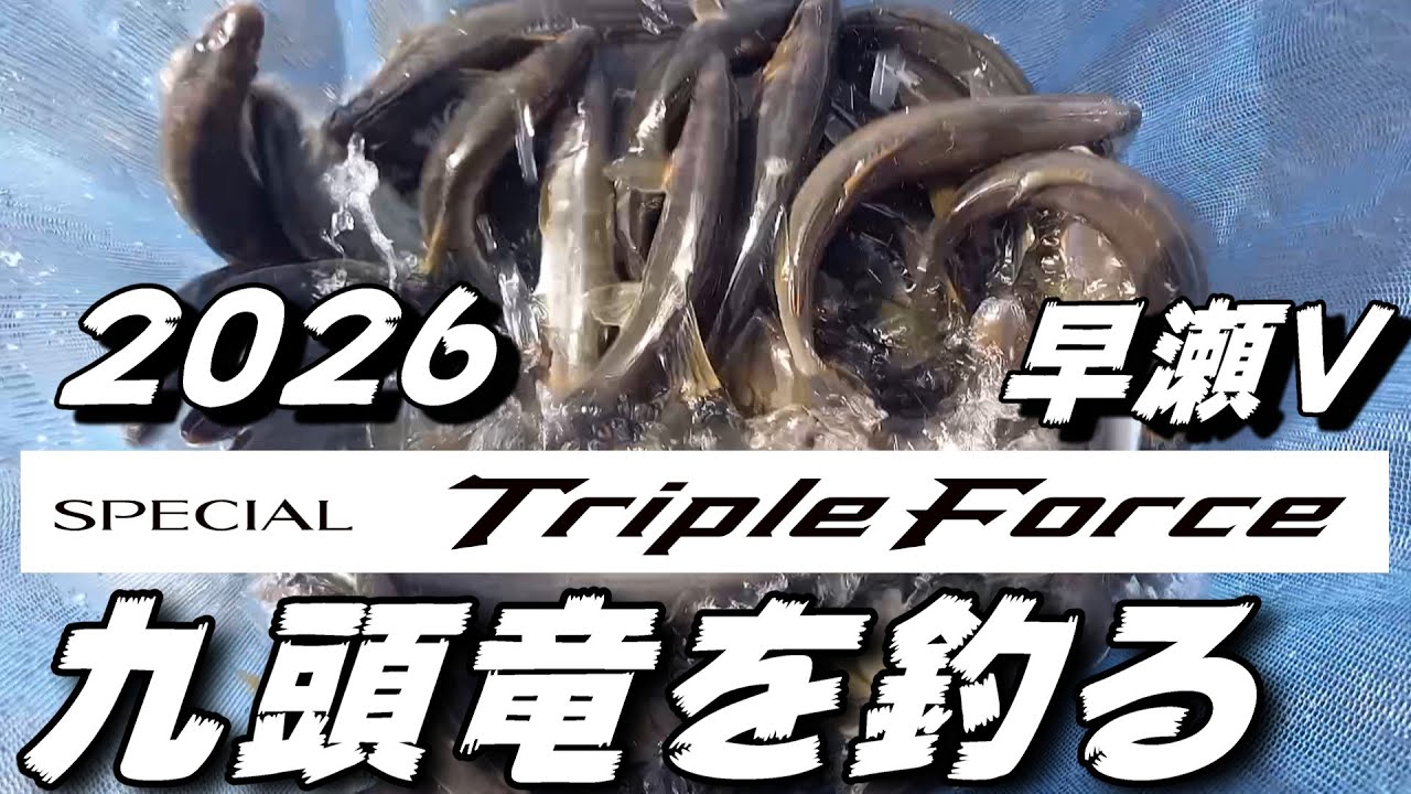 Ayu fishing 2026 Shimano new product Special Triple Force Hayase